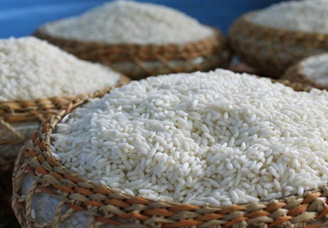 Tiêu chí nào để đánh giá đại lý gạo Hải Hậu có thương hiệu và uy tín?