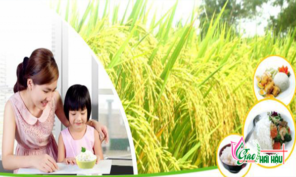 Thương hiệu lúa gạo Hải Hậu