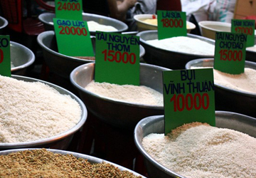 Xây dựng thương hiệu gạo Việt Nam từ những giống lúa ngon, chất lượng