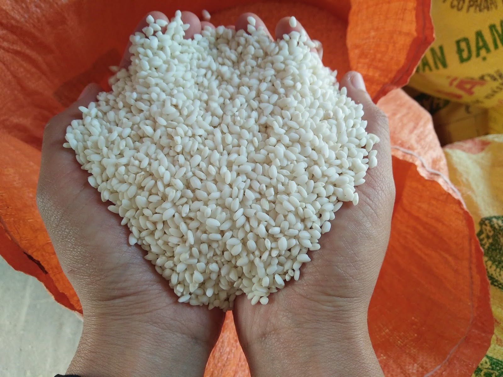 Cách lựa chọn gạo nếp ngon