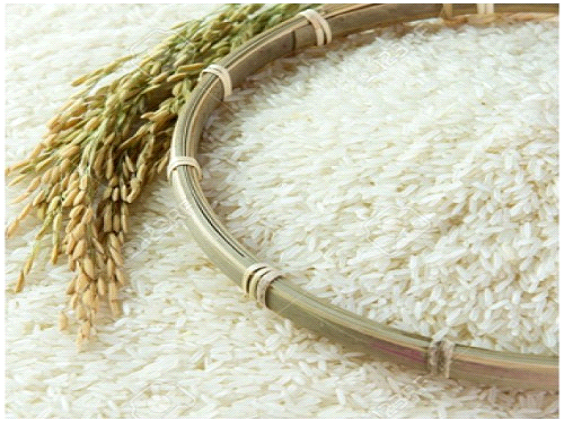 Thành phần dinh dưỡng gạo tạp giao Hải Hậu