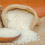 Gạo quy năm Hải Hậu