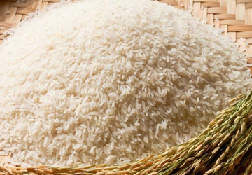 Tổng hợp các giống gạo Việt Nam “nức tiếng gần xa”