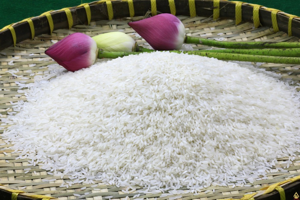 Gạo thơm Hương Lài