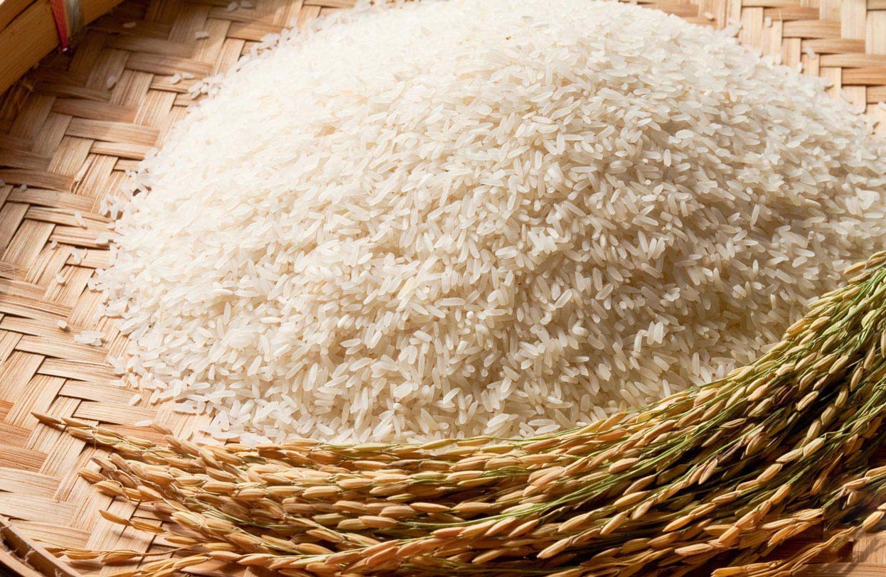 Gạo tám Hải Hậu có gì đặc biệt
