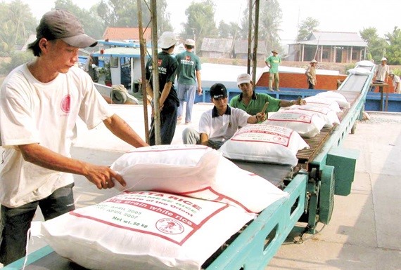 Xuất khẩu lúa gạo Việt Nam
