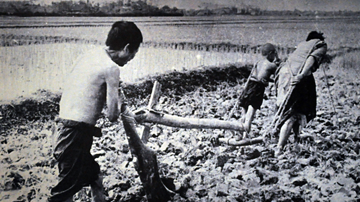 Nông nghiệp Việt Nam thời Pháp thuộc